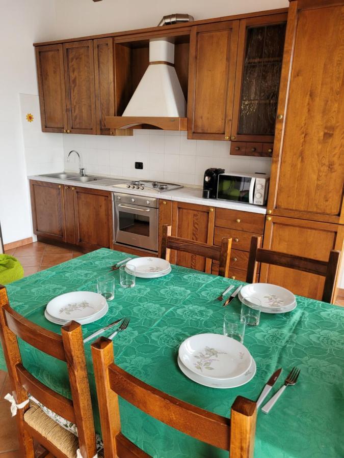 Apartment Casa Nicca